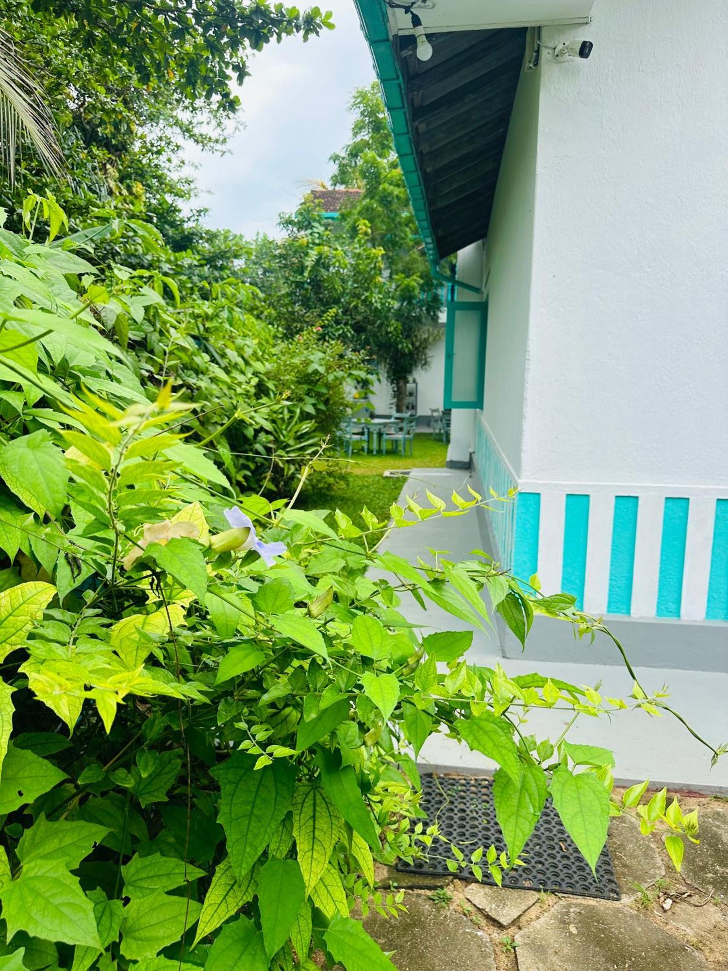 Villa 47 Hikkaduwa Zewnętrze zdjęcie